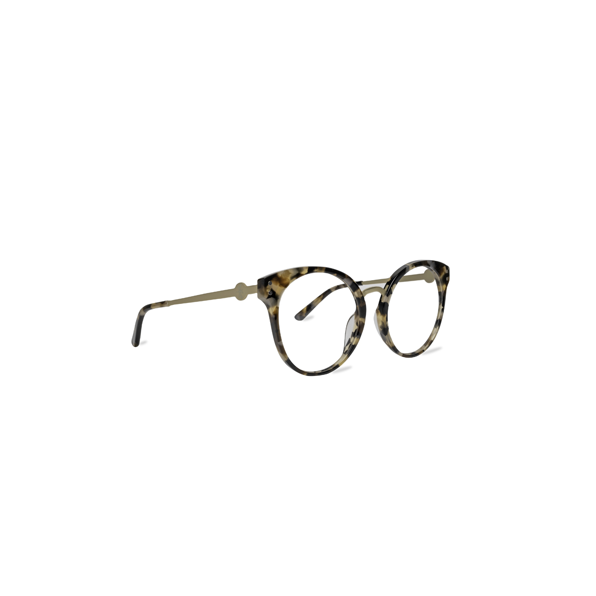Pui Yellow Tortoise