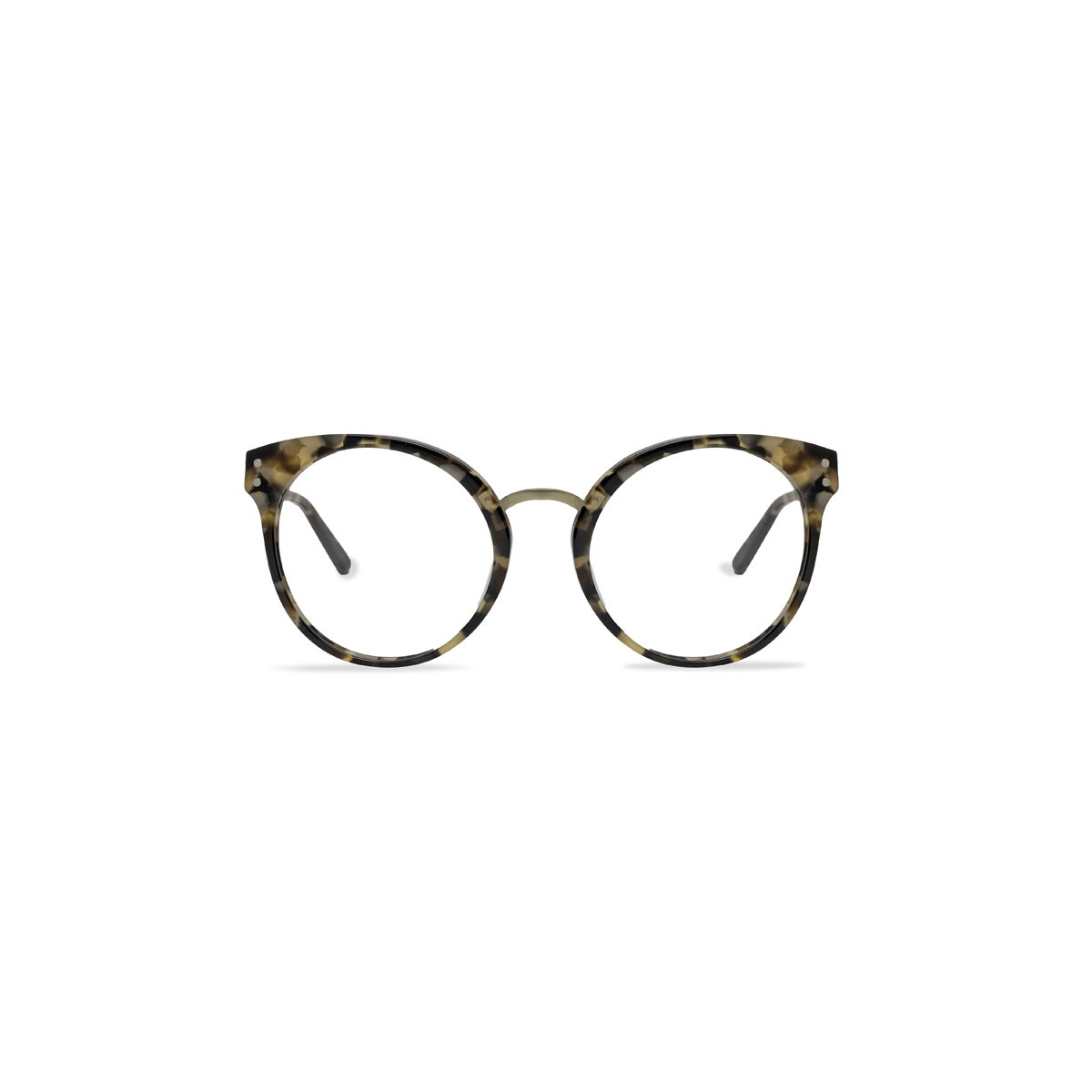 Pui Yellow Tortoise
